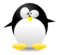 Serielle Daten Kommunikation für Linux
